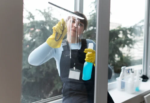 Nettoyage de vitres intérieures et extérieures à Brézins